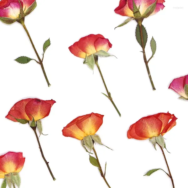 Dekoratif Çiçekler 60 PCS Yan Preslenmiş Kurutulmuş Mor Turuncu Gül Çiçeği Herbaryum Reçine Epoksi Mücevher Kart Bookmark Frame Fone Case