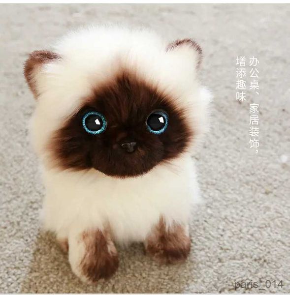Animais de pelúcia de pelúcia 20/26cm olhos azuis gatos boneca simulação bonito gato siamês brinquedo de pelúcia marrom e branco rosto gato decoração de casa melhor presente R231026