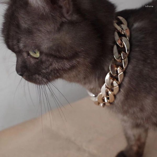 Hundeträger Haustier Katze Kette Halskette Länge verstellbar Pos Requisiten Sicherheitshalsband für Dekoration Zubehör kleine Hunde