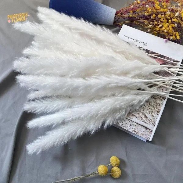 Dekoratif çiçekler doğal kabarık pampas çim kurutulmuş çiçek beyaz küçük saz buket boho Hometable dekorasyon aksesuarları pamp düğün