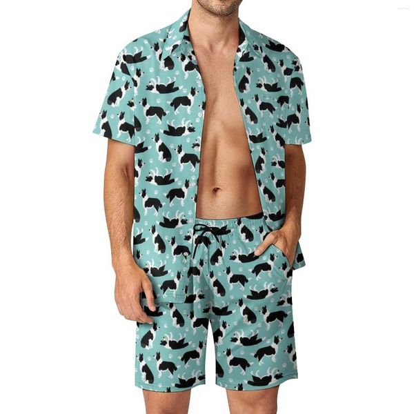 Fatos masculinos impressão de cachorro beachwear conjuntos de homens border collie camisa casual conjunto verão shorts personalizados de duas peças havaí terno tamanho grande