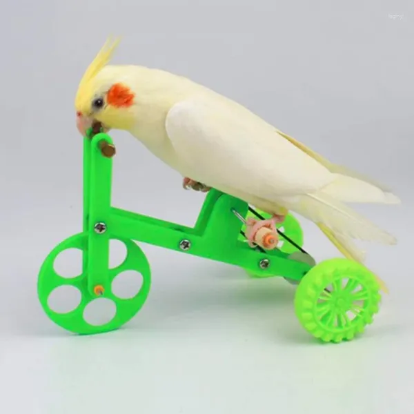 Altre forniture per uccelli Giocattolo per pappagalli Giocattoli per bici Giocattolo per addestramento Puntelli interattivi per parrocchetto Cockatiel Conure Lovebird Pet