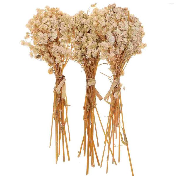 Fiori decorativi 3 mazzi Permanente essiccato Babysbreath Bouquet Romantico vaso Decor Disposizione dei fiori Forniture Colore casuale Stelo Natale