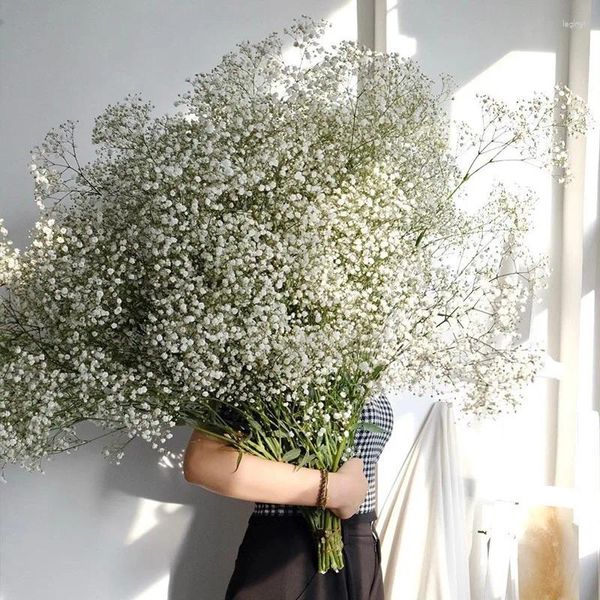 Fiori decorativi bianchi naturali secchi Gypsophila disposizione del respiro del bambino decorazione della casa decorazioni per la tavola di nozze floreali fai da te