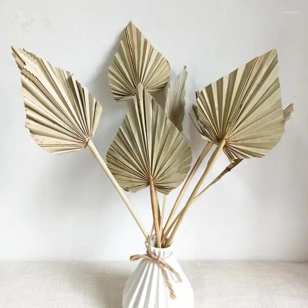 Fiori decorativi 10 pezzi Boho Lance di palma essiccate Ventagli naturali Foglie Ventaglio di foglie con stelo Decorazione domestica