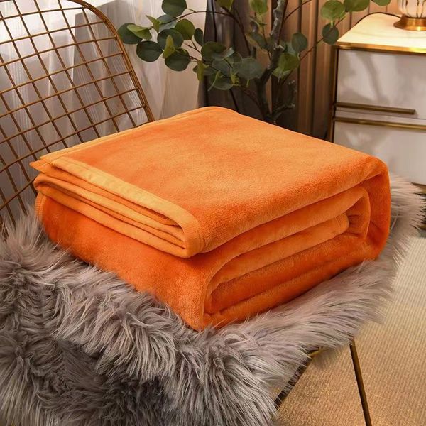 Designer coperta coperta coperta inverno addensato quattro stagioni coperta singola doppia coperta foglio capocchia coperta asciugamano a doppia facciate