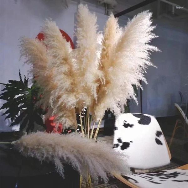 Dekorative Blumen, 120 cm, Pampasgras, groß, hoch, flauschig, getrocknet, Boho-Dekor, Planta für Vase, Zuhause, Hochzeit, Blumenarrangement