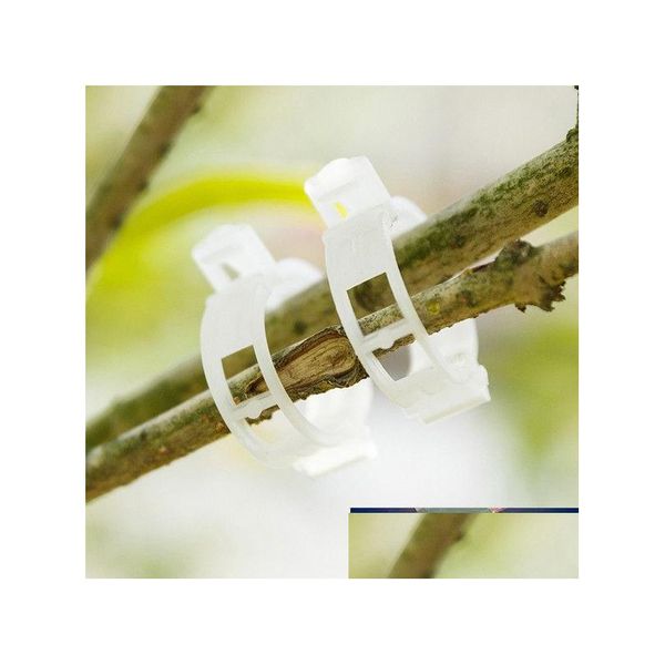 Altre forniture da giardino Supporti per piante Clip in plastica L'anello collega la protezione del dispositivo di fissaggio del traliccio della vite Innesto del dispositivo legato vegetale a Dh9T1