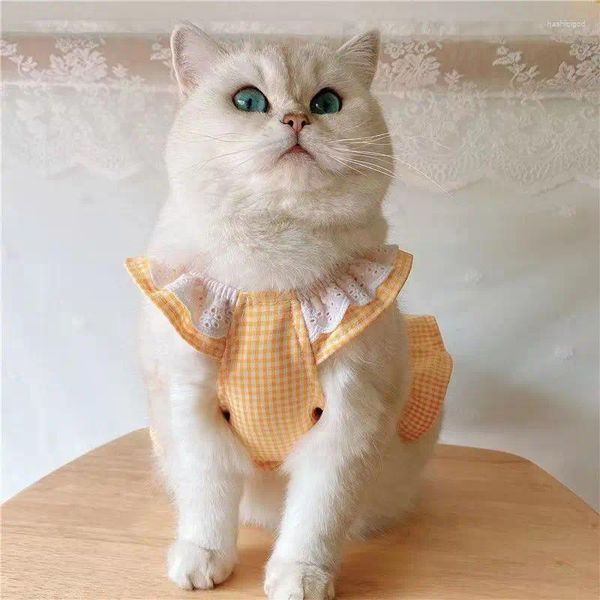 Trajes de gato roupas para animais de estimação verão primavera e produtos rendas manga macacão xadrez colete vestido cão jovem menina coração