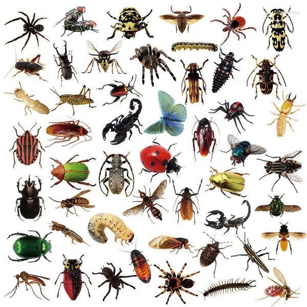 Envoltório de presentes 50pcs adesivos de bug realistas para laptop à prova d'água natureza inseto garrafa de água borboleta libélula