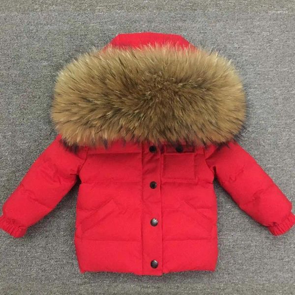 Casaco para baixo crianças jaqueta de inverno com pele de guaxinim criança outwear crianças versão curta quente para bebês meninos grils 0-10 anos