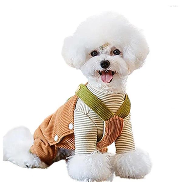 Köpek Giyim Sıcak Evcil Giyim Rahat Kış Giysileri Küçük Köpekler İçin Yastıklı Sırt Çantası Kediler Rahat Kalın Şık
