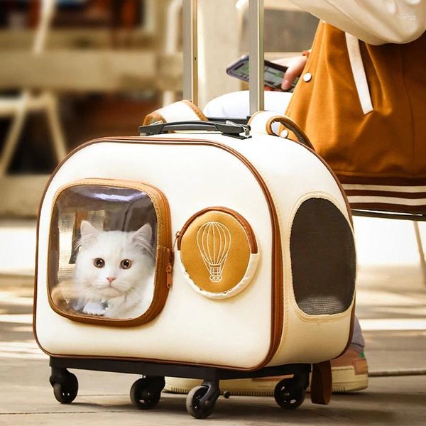 Katze Träger Belüftung Haustier Hund Tier Kinderwagen 4 Räder Transparent Tragbare Koffer Träger Outdoor Leichte Bolso Trolley