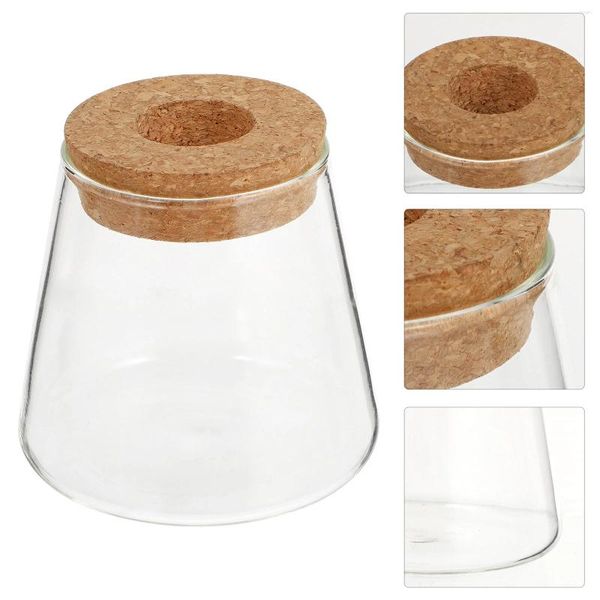 Vasen 2 Stück Öko-Flasche Desktop-Glas Mini-Töpfe Kugel für Hydroponik Holzbüro Luftpflanzen