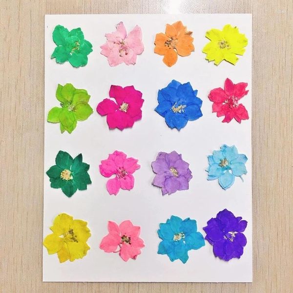 Dekorative Blumen 40 Stück gemischte gepresste getrocknete Blumen Gaura Lindheimeri Herbarium für Lesezeichen Requisite Schmuck Postkarte Einladungskarte Telefon