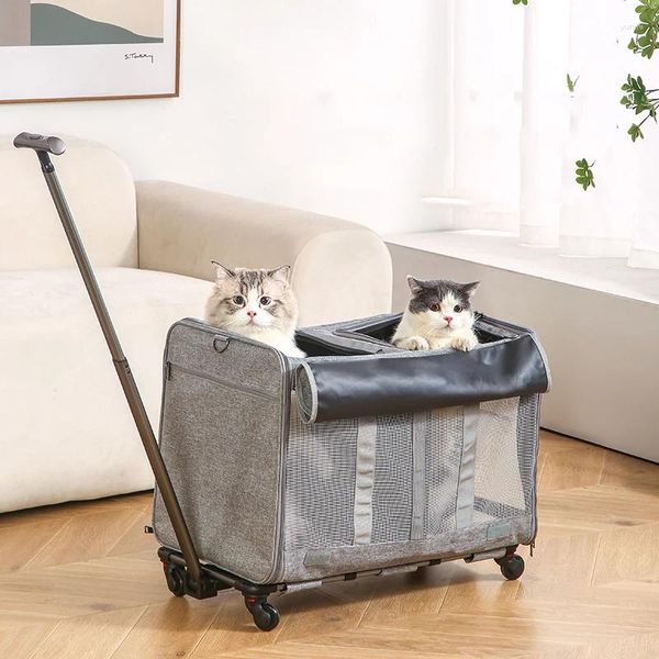 Trasportini per gatti Ventilazione Passeggino doppio Moda all'aperto Universale Pet Dog Animal 4 ruote Canvas Sac Chat Accessori per animali domestici