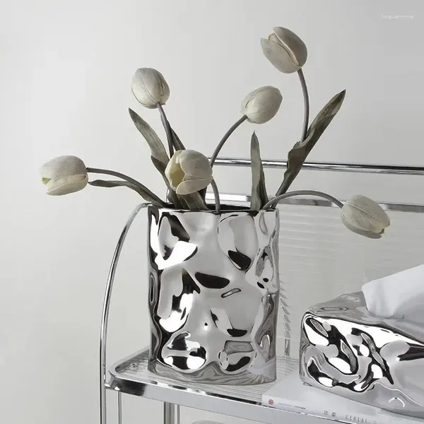 Vazolar Hafif Lüks Tarzla Oturma Odası Dekorasyonu Ana Sayfa TV Dolabı Yemek Tablo Çay Yüksek dereceli parlak gümüş şekilli seramik el sanatları