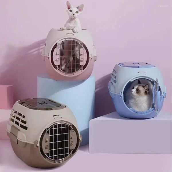 Portadores de gato bonito transportador designer caso de viagem plástico respirável ao ar livre casca dura interior mala kedi pet
