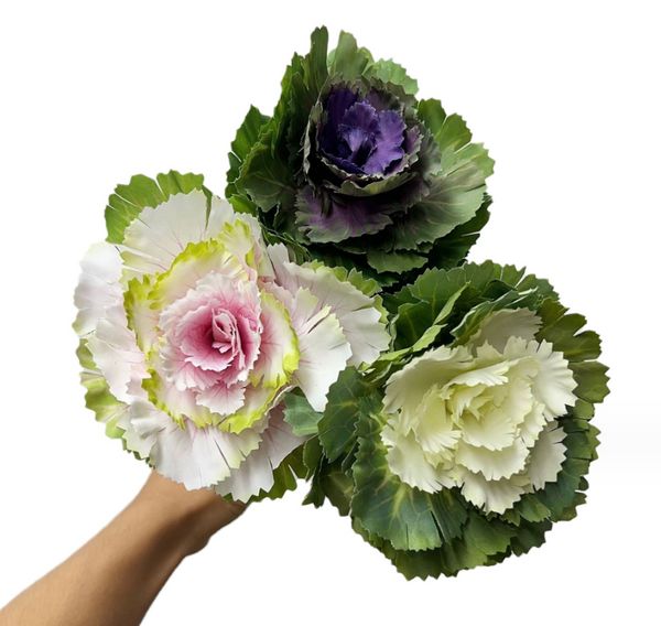 Fiori simulati di alta qualità a 3 teste in polvere viola e bianca, cavolo coreano, soggiorno, bouquet da sposa, fiori finti, decorazioni nuziali