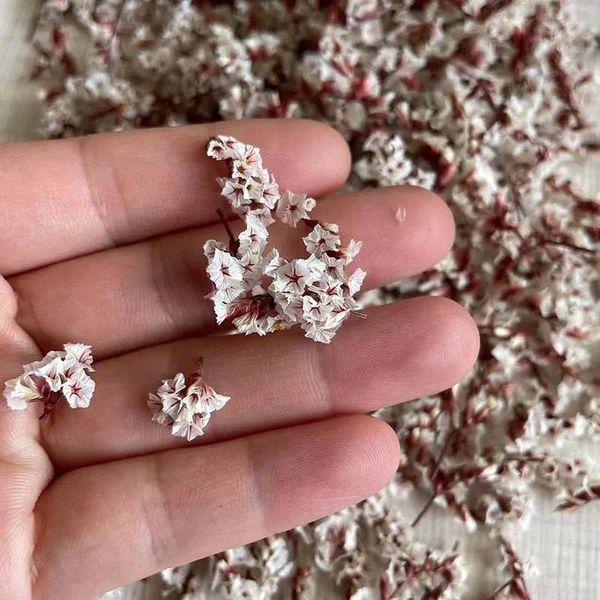 Dekoratif Çiçekler 5G Gerçek Doğal Kurutulmuş Küçük Kristal Çim Korunmuş Gül Çiçek Kafaları Mini Kuru Mum Yapma İçin DIY-NOT DIY
