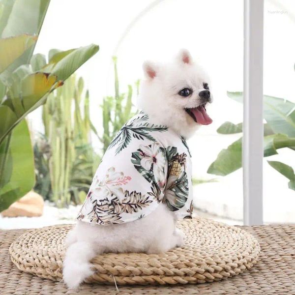 Abbigliamento per cani Camicia per animali domestici Gatto stile hawaiano Piccolo, medio e grande Ananas Teddy Capelli dorati Forniture per abbigliamento primavera estate