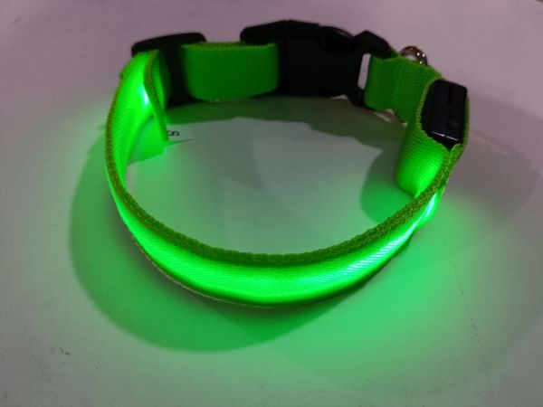 Collari per cani e gatti a LED Luce notturna Sicurezza Moda Casual Lampeggiante Bagliore Forniture per animali Accessori per cani di piccola taglia