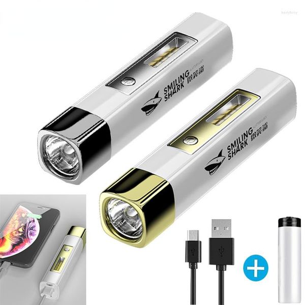 Beleuchtung LED Power Bank Mini Tragbare Wasserdichte Ultra Helle Taschenlampe USB Aufladbare Multifunktions Leistungsstarke Laterne Camping