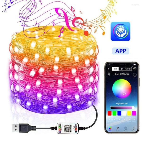 Strings Festival Tree Decoration Lights Custom Smart Bluetooth LED Dropship di controllo remoto personalizzato per app per stringhe