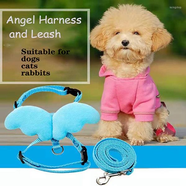 Collari per cani Cute Angel Pet Cat Harness e guinzaglio Set per cani di piccola taglia Gattino Conigli Guinzagli Guinzagli Accessori regolabili