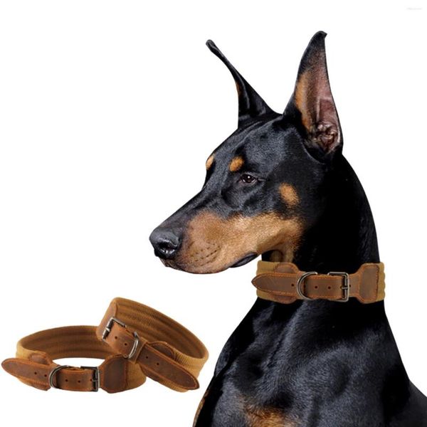 Carpets Hundehalsband aus echtem Leder, groß, verstellbar, robuster Griff, mittelgroßer Hundehals, weich und stark