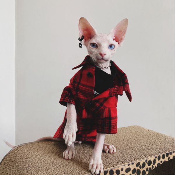 Trajes de gatos roupas de gato sem p￪los Sphinx Devon Red Grid Camisa Autumn Winter Pet Casat Acess￳rios 220908