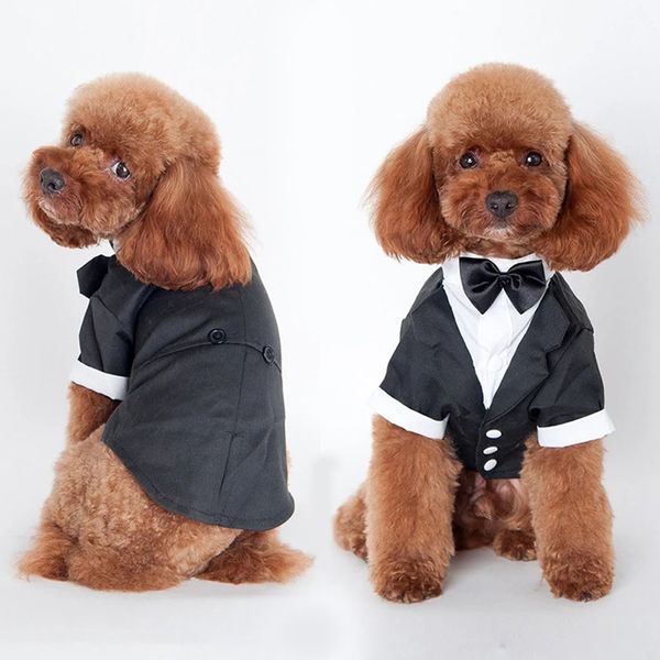 Trajes de gato Pet MacH MacH Dog Cat Vestido menino Cachorro Tuxedo Tuxdo Fache de filhotes e Kitten Roupos Festume de casamento para Dachshund Shih 220908