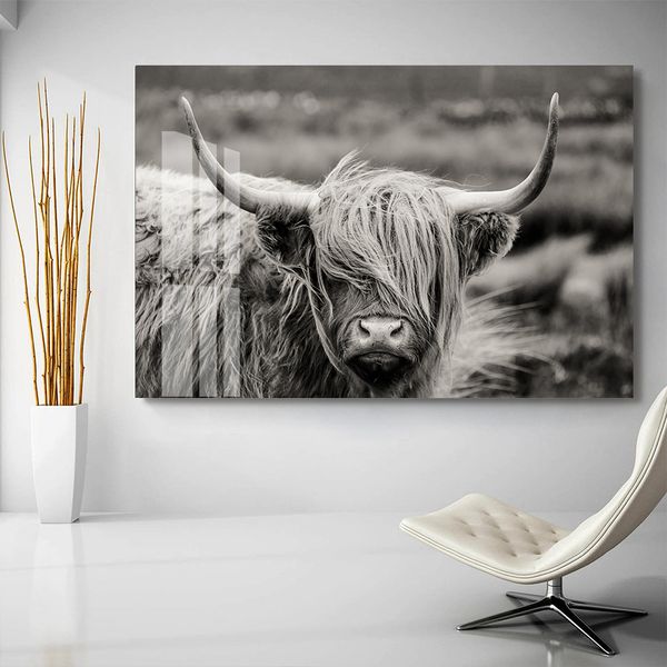 Dipinti su tela Highland scozzesi Mucca Yak Poster di animali Stampe d'arte da parete Immagini su stampe su tela per soggiorno Decorazione domestica moderna SENZA CORNICE