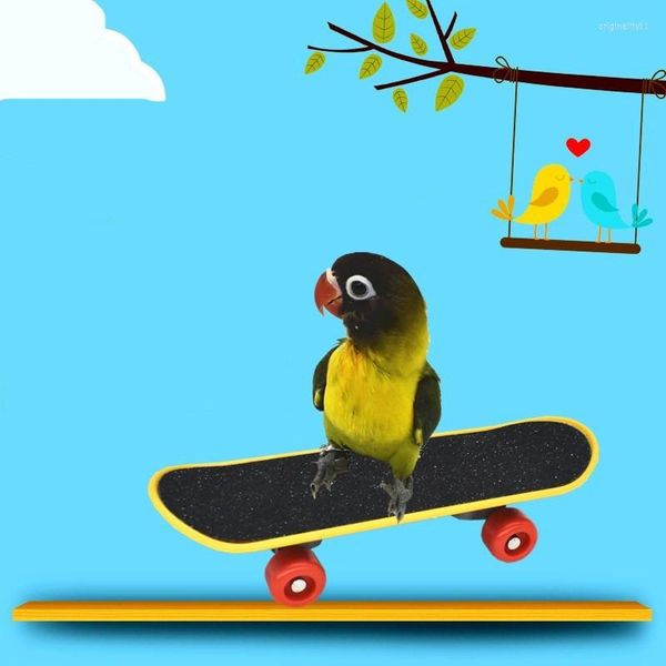 Другие птицы поставляют попугай игрушку из матового скутера Tiger Skates, тренируем