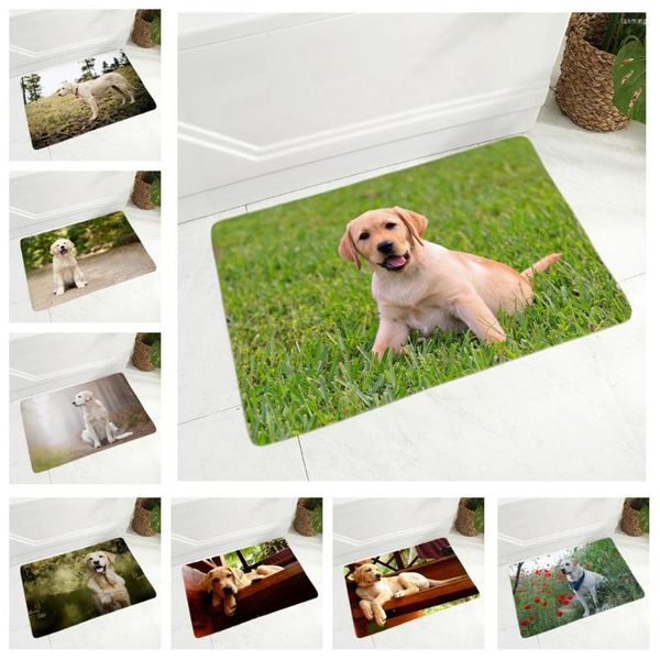 Tappeti Cute Labrador Tappetino per pavimento per corridoio Cucina Room Decor Pet Dog Animal Zerbino Antiscivolo Flanella morbida Tappeto 40x60cm