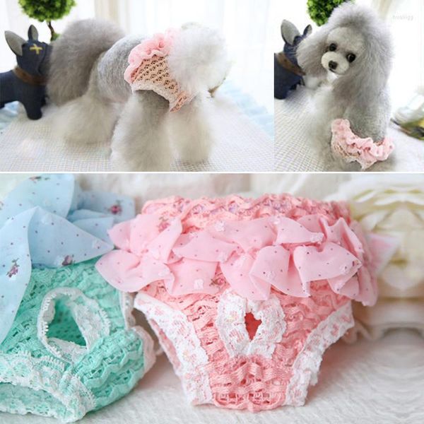 Abbigliamento per cani Pannolini per animali domestici Pantaloni fisiologici Biancheria intima di pizzo carina Mutandine sanitarie lavabili Pantaloncini mestruali femminili Mutande per animali domestici