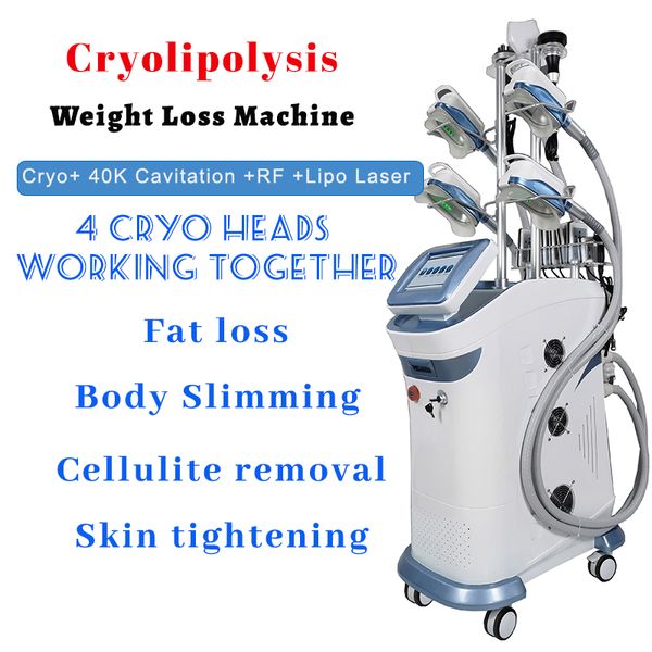 Bauch-Cellulite-Entfernung, Vakuumtherapie, Kryolipolyse, Gewichtsverlust-Schlankheitsmaschine, 4 Kryo-Köpfe, die zusammenarbeiten, Standgerät