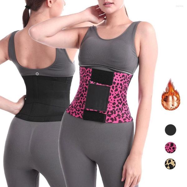 Shapers Shapers Shapewear Shapewear Treinador para Mulheres Shaper Sweat Belt Perd Lose Wester Workout Corset Faja Redutora