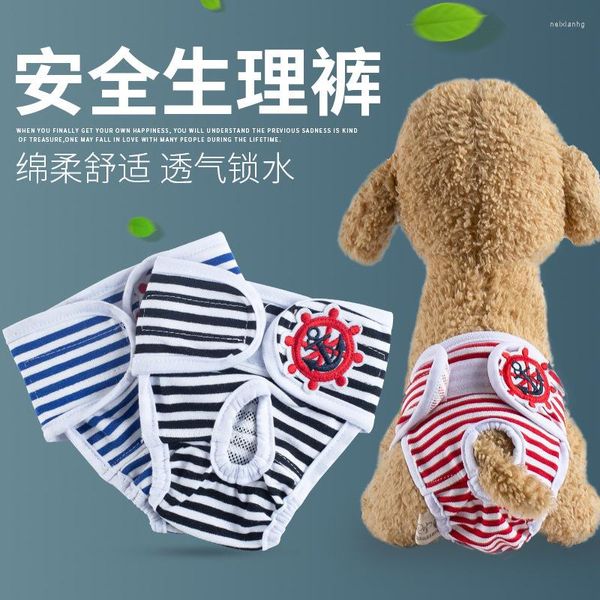 Abbigliamento per cani Pantaloni fisiologici per animali domestici Teddy Sicurezza Igiene Cagna Periodo mestruale Accessori zia