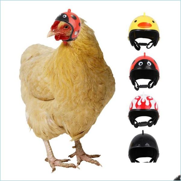 Outros suprimentos de animais de estimação capacete de frango PETRO DE PETURA PETRO DE PANTO DURO PAV CELA CABEÇA DA CABEÇA DE CABEÇA DAPAÇÃO 2021 HOME GARDEN GARDENSHOP2006 DHJFP