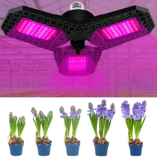 Wachsen Lichter LED Phyto Lampe E27/E26 Volle Spektrum Licht Pflanze Lampe AC85-265V Indoor Sämlinge Blume Zelt box IP65 Wasserdicht