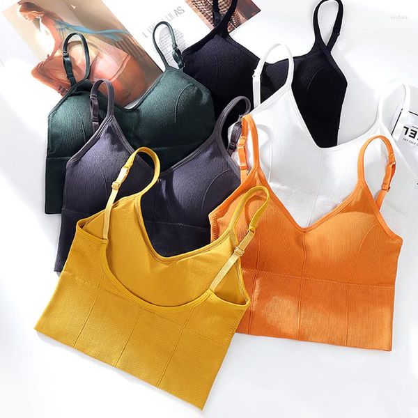 Yoga Outfit U Reggiseni sportivi Intimo da donna per ragazza Reggiseno senza cuciture Tipo Top da corsa senza schienale Imbottito antiurto Push Up Cotone solido