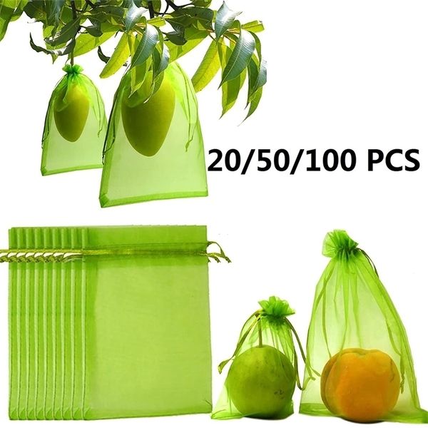 OUTROS COMPRETES DE JARDO 2050100PCS uvas Bacs de proteção de frutas Mesh Mesh Orchard Pest Control Anti-Bird Netting Vegetable 220921