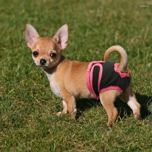Hundebekleidung, weibliche Shorts, physiologische Welpenhose, Windel, Haustierunterwäsche für kleine, mittelgroße Hunde, 23