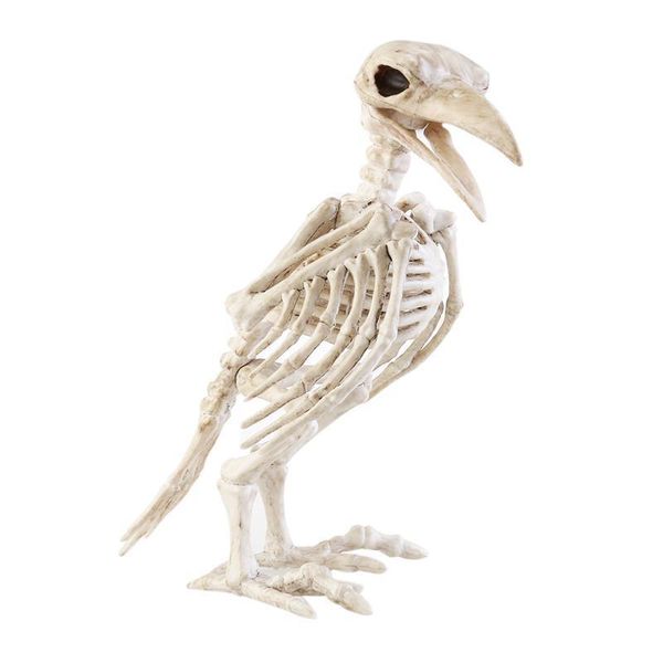 Outras festas festivas suprimentos de osso louco esqueleto corvo os ossos de origem de animais de origem de horror decoração de Halloween Prof Bird Crow 220922