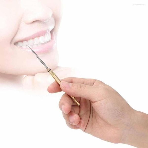 Colares pendentes Conjunto de 20 pcs caixa de latão portátil palito de dente de dente de armazenamento de titânio reutiliza liga de dente -dente de dente -chave