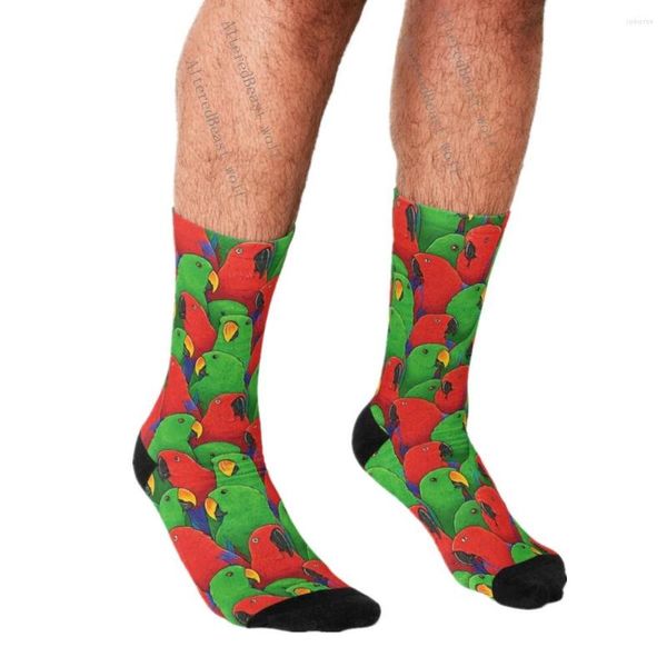 Herrensocken Lustige Männer Harajuku Männliche Und Weibliche Eclectus Papageien Gedruckt Glücklich Hip Hop Neuheit Skateboard Crew Casual Verrückt