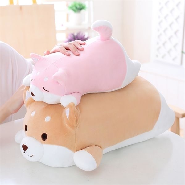 Plüschpuppen 1 Stück 3655 cm Weiches Kawaii Fat Shiba Inu Hund Plüschtier Gefülltes süßes Tier-Cartoon-Kissen Schöne Geschenke für Kinder Kinder Geschenke 220923