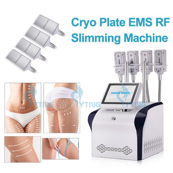 Cryo EMS Sistema RF Crioterapia Macchina dimagrante per il corpo 4 Piastre di congelamento Forma congelata Perdita di peso grassa Attrezzatura per la rimozione della cellulite