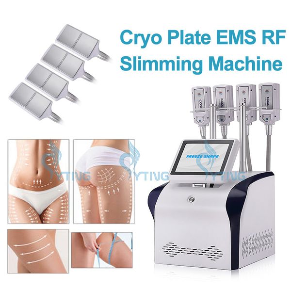 Kryolipolyse Body Sculpting Freeze Shape Schlankheitsmaschine Cool Fat Freezing 4 Pads Cryo EMS RF-Technologie Cellulite-Reduktion